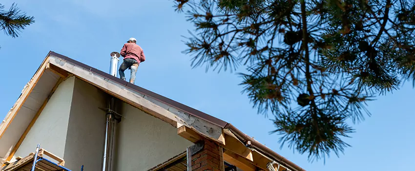 Birds Removal Contractors from Chimney in Liberal, KS